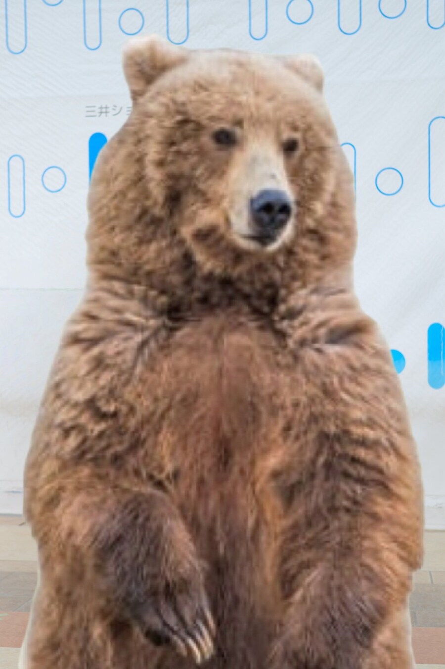 "뱃살 보정해줘" 일본 아이돌 요청에…충격적 결과물_38.jpg