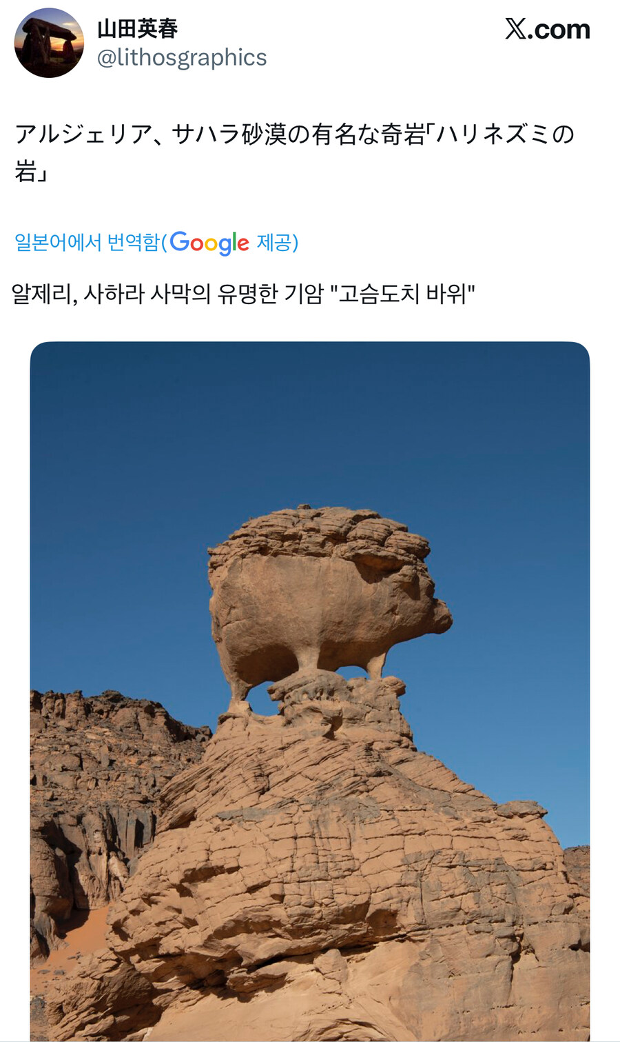 사하라 사막에 있는 고슴도치 바위.jpg_1.jpg
