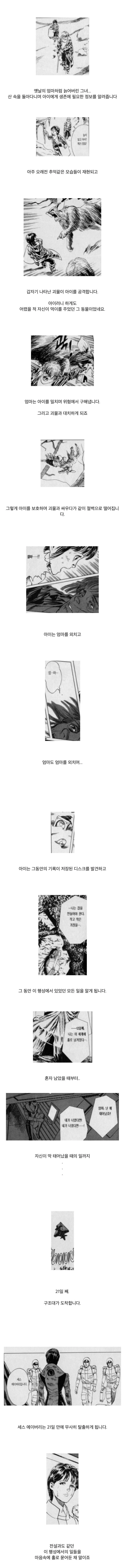 2일에 10년이 지나는 행성에 불시착한 조종사_3.webp