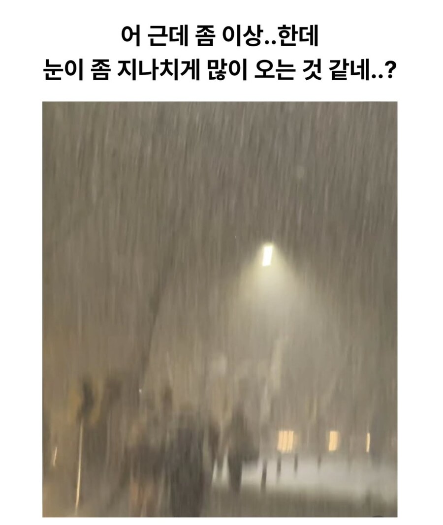 한국의 겨울을 매콤하게 맛 본 외국인들_3.png