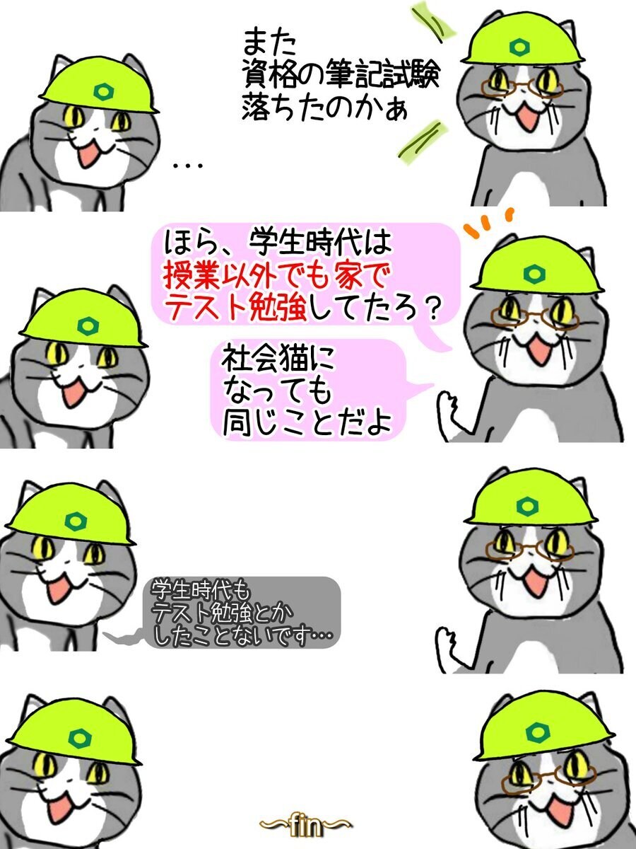 현장냥이 신작 근황_1.jpg