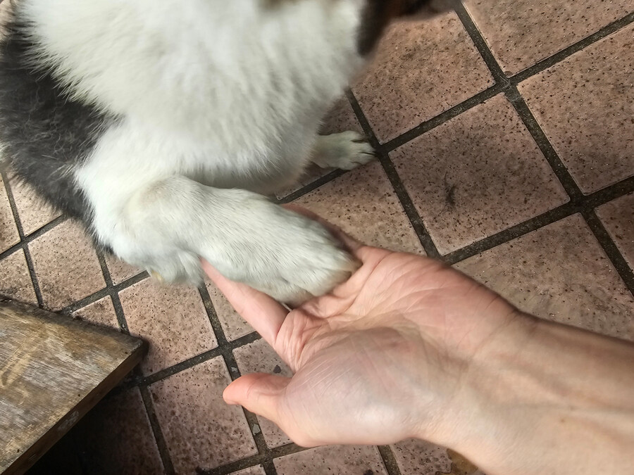 리노아(간판) 님의 손 크기_4.jpg