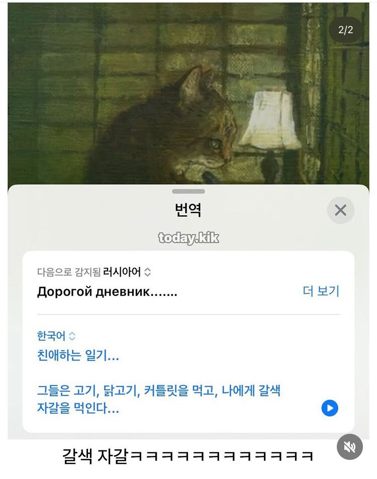 고양이마저 러시아문학을 피할 수 없다_2.jpg