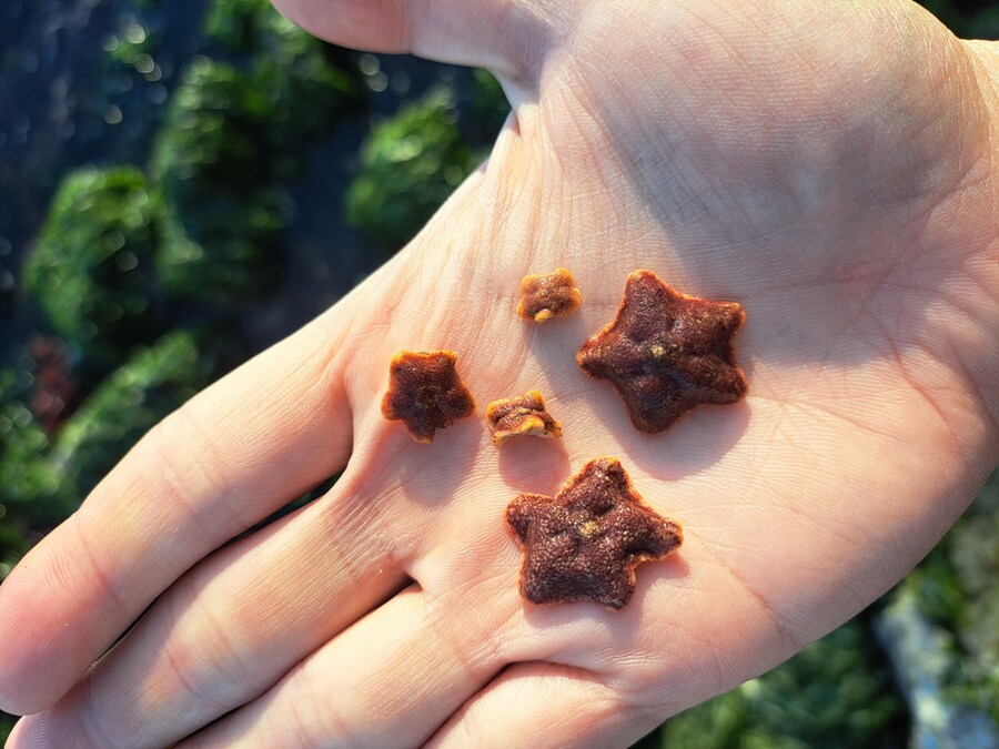 별 내린 해변_1.jpg