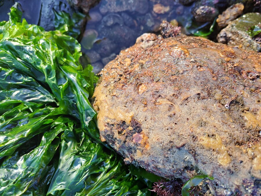 별 내린 해변_4.jpg