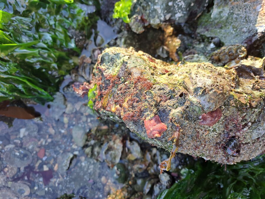 별 내린 해변_7.jpg