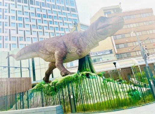 새벽이면 이거 올리면 됨?_1.png