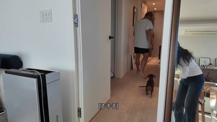 추성훈 : 이게 조회수가 나온다고?_3.png