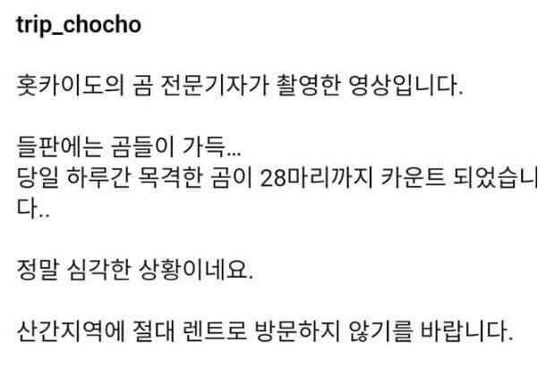 홋카이도 시골길에 곰이 28마리 ㄷㄷ_1.jpg