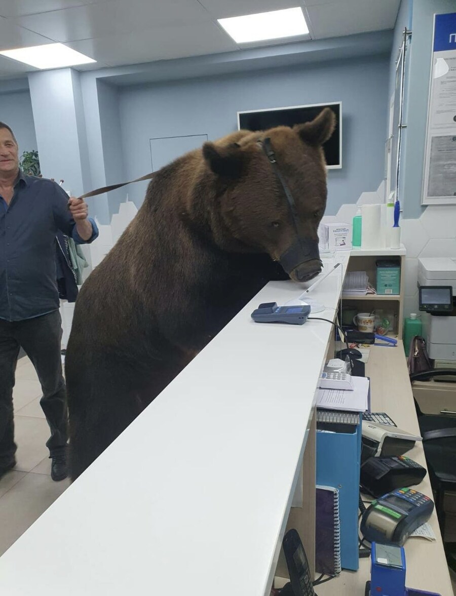 치과에 간 좀큰 동네주민_1.jpg