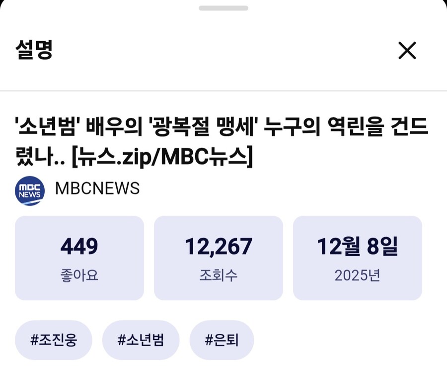 '소년범' 배우의 '광복절 맹세' 누구의 역린을 건드렸나.jpg_2.jpg