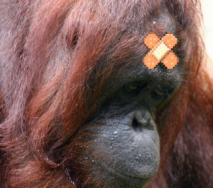 마비m) 불법 경매장 도입한 마비m의 다음 목표로 예상되는 것_7.png