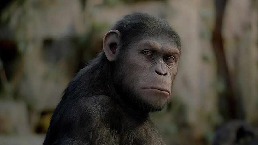 마비m) 불법 경매장 도입한 마비m의 다음 목표로 예상되는 것_6.jpg