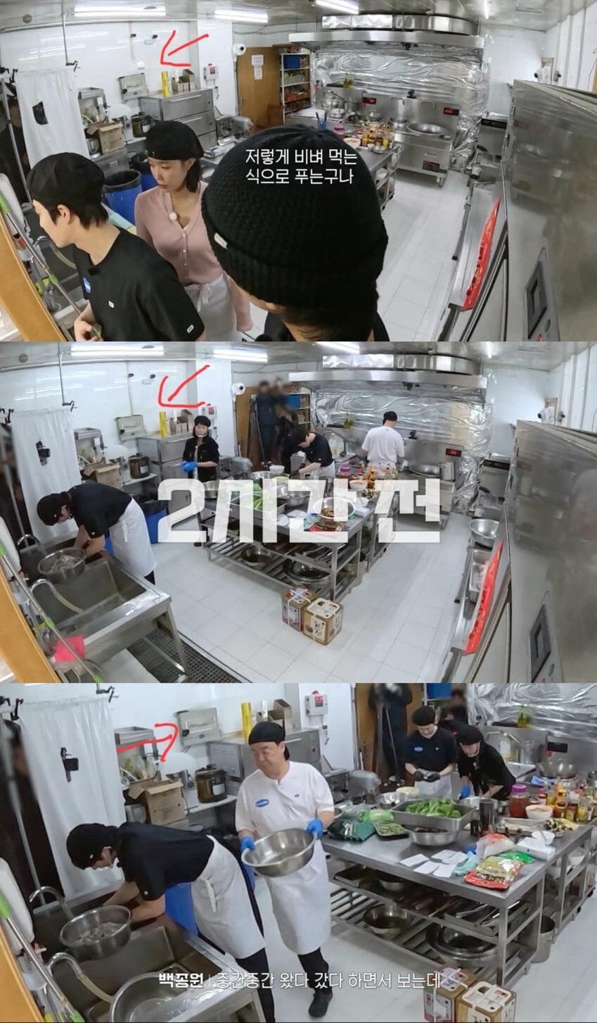 남극의 시프새퀴들 근황_1.jpg