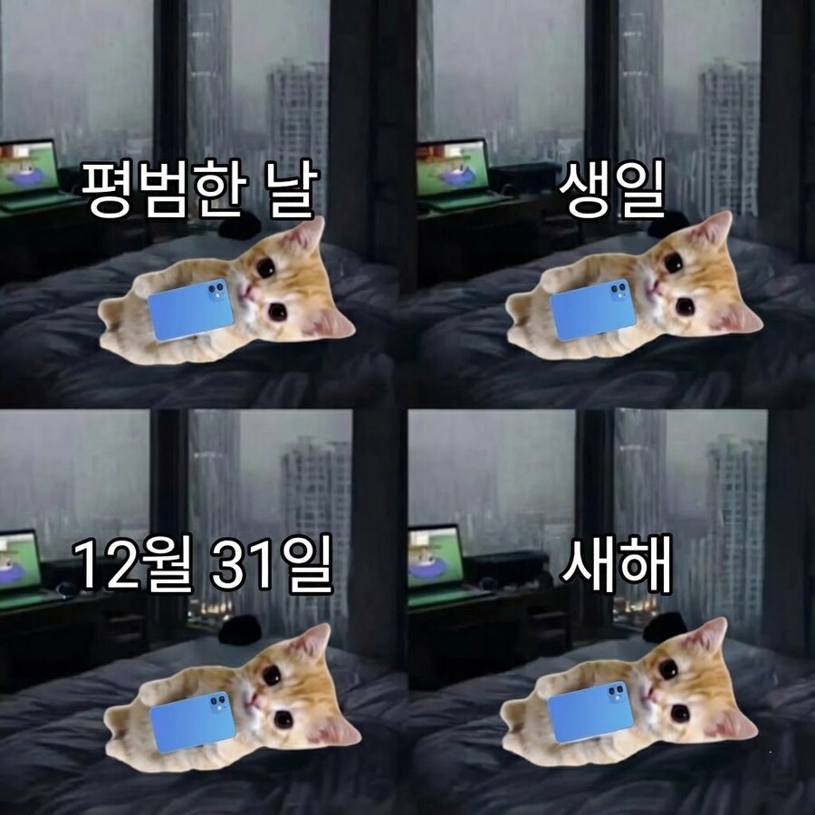 2025년 이 몸 요약_1.png