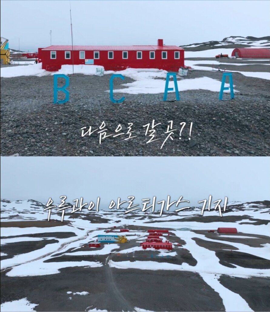 남극의 셰프 구성이 솔직히 불편한게_4.jpg