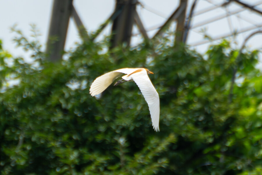 7월 폭우가 내린뒤 창릉천_14.jpg