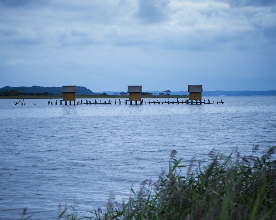 이번 아오모리현 지진에서 걱정되는 점_1.jpg