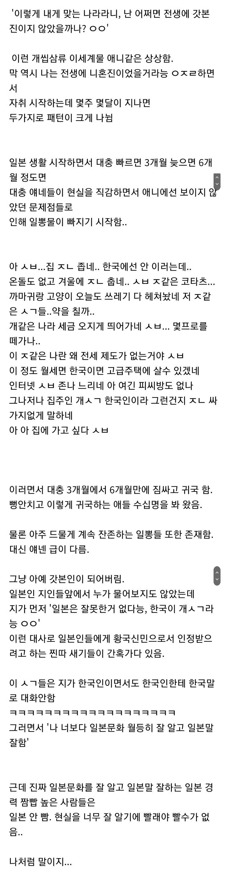 일본 외노자가 생각하는 일뽕.jpg_3.jpg