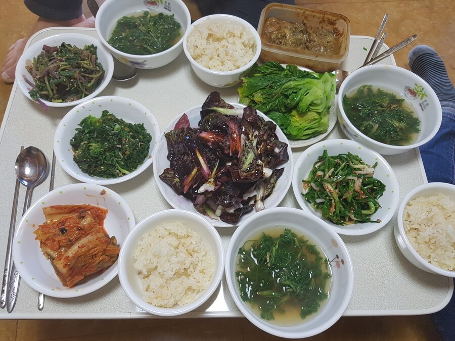 ???:아들~ 엄마가 건강 생각해서 아침밥 해놨어~_1.jpg