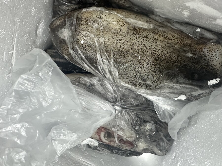 생존 기록 02 아직 한 번 남았어요_10.jpg