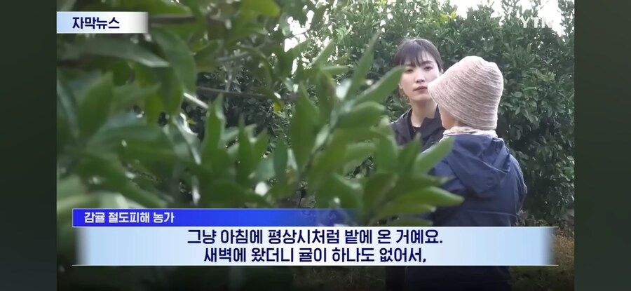 제주도 근황.jpg_4.jpg