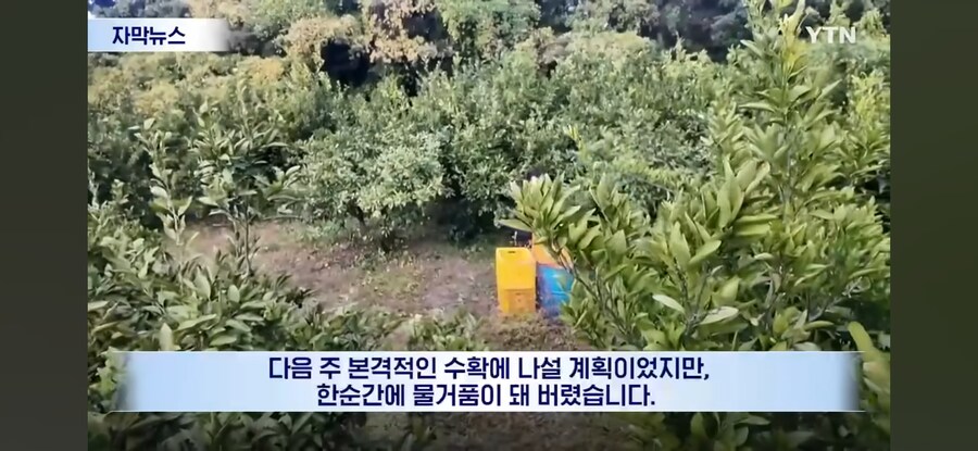 제주도 근황.jpg_10.jpg