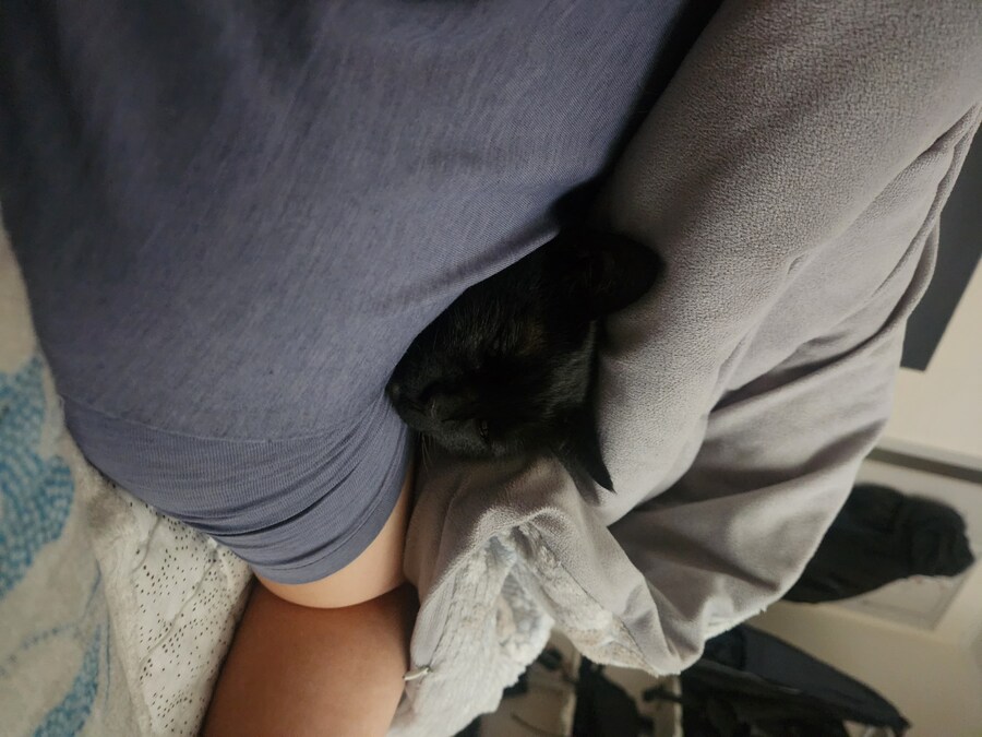 인기없는 검은 고양이는..._12.jpg