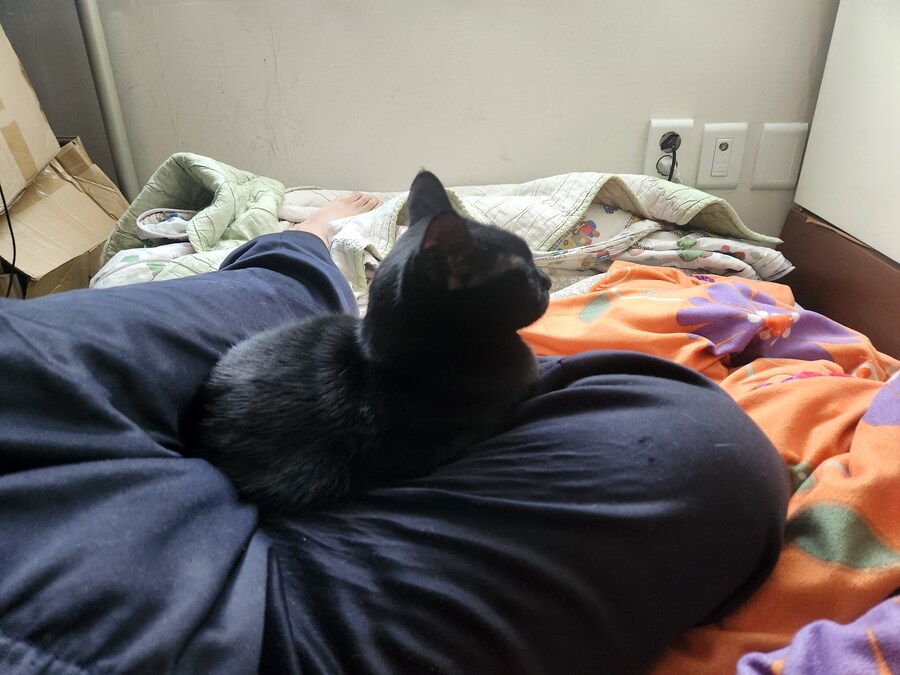 인기없는 검은 고양이는..._13.jpg