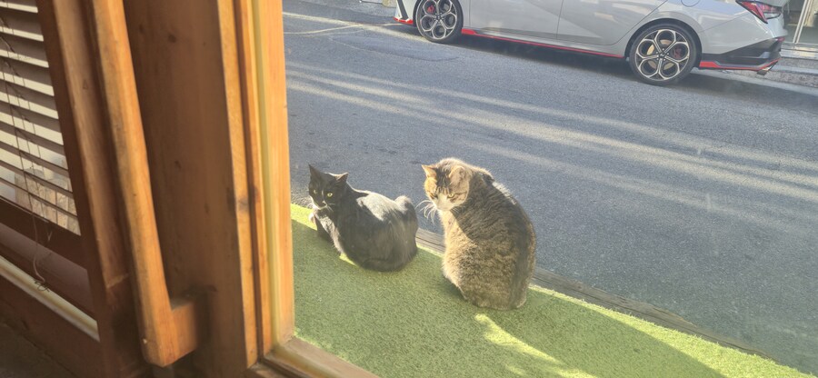 진상들아 좀 가라고...._2.jpg