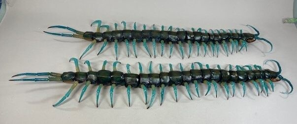 [반다이가샤폰] 생물대도감 얼티밋 3탄 류진 왕지네. 개발 최종 단계 샘플_5.jpg