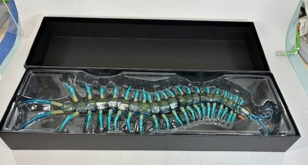 [반다이가샤폰] 생물대도감 얼티밋 3탄 류진 왕지네. 개발 최종 단계 샘플_11.jpg