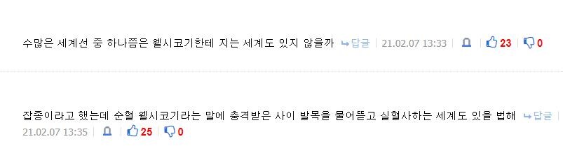 페이트)길가메시에 대한 독자/시청자들의 인식_1.jpg