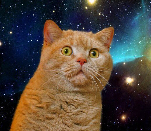 [크림과쿠키] 엘든링 밤의 길치자.._1.jpg