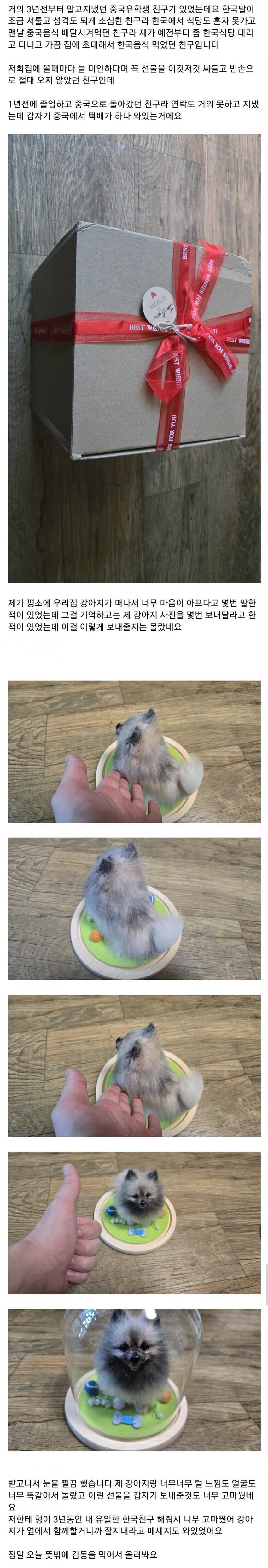 죽은 강아지 사진 보내달라던 중국인.jpg_1.jpg