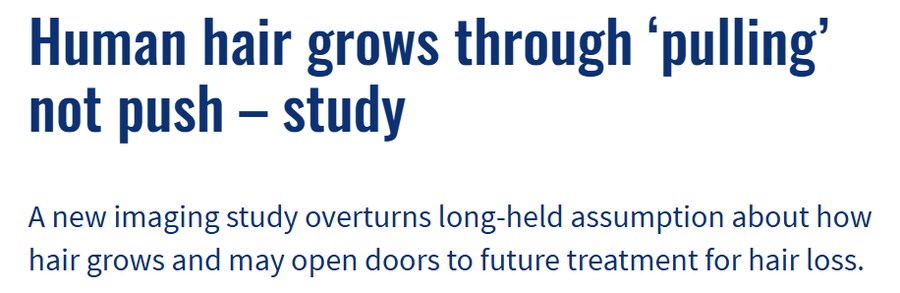 탈모 관련 정리_2.png