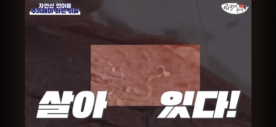 초밥왕) 진짜로 초절임을 하면 기생충을 죽일 수 있을까?_10.jpg