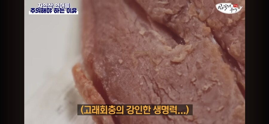 초밥왕) 진짜로 초절임을 하면 기생충을 죽일 수 있을까?_11.jpg