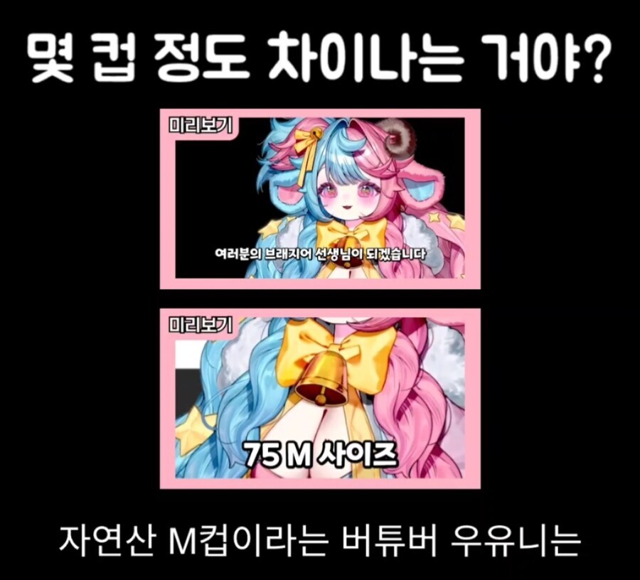 버튜버)자기 가슴이 M컵보다 작다는 사람_1.png