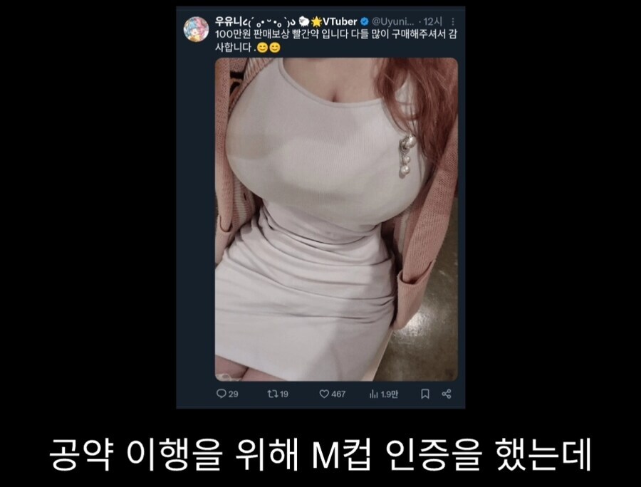 버튜버)자기 가슴이 M컵보다 작다는 사람_3.png