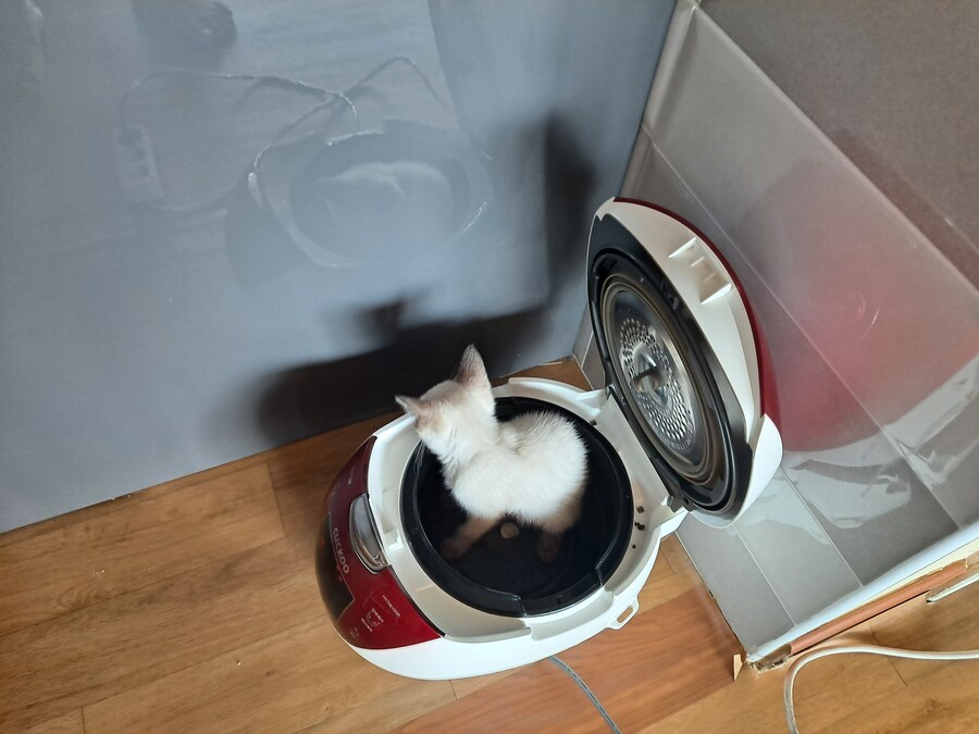 압력밥솥으로 모카빵 구웠습니다!!_2.jpg