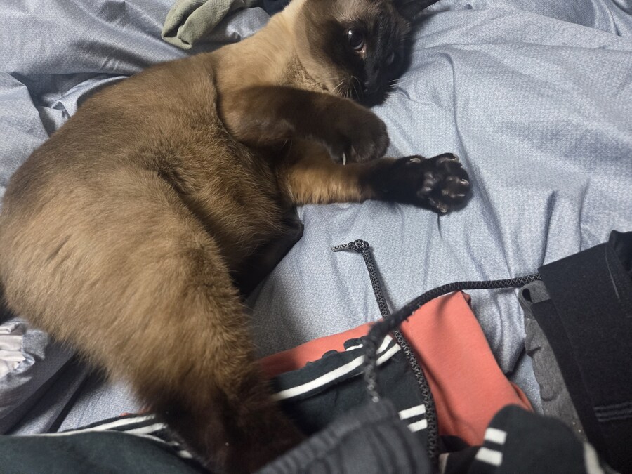 압력밥솥으로 모카빵 구웠습니다!!_10.jpg