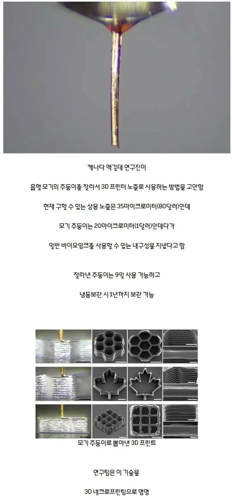 드디어 쓸모가 생긴 기 근황_1.webp