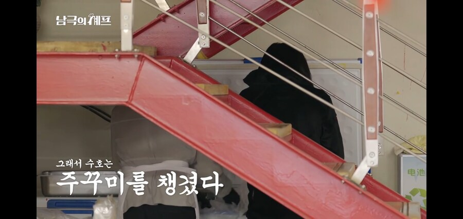 쭈꾸미랑 오징어도 구분 못하는 남극의 약탈자들_9.jpg