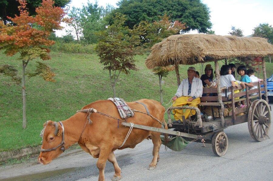 친환경 자동차_1.jpg