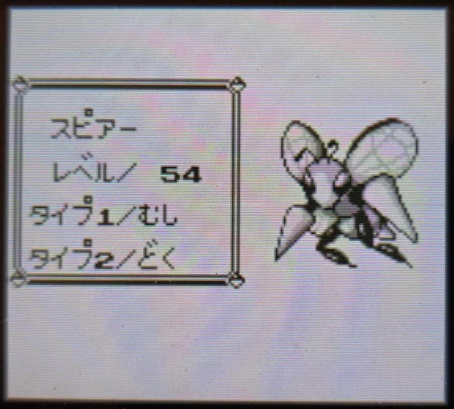 VC 포켓몬 블루 클리어 멤버_3.jpg