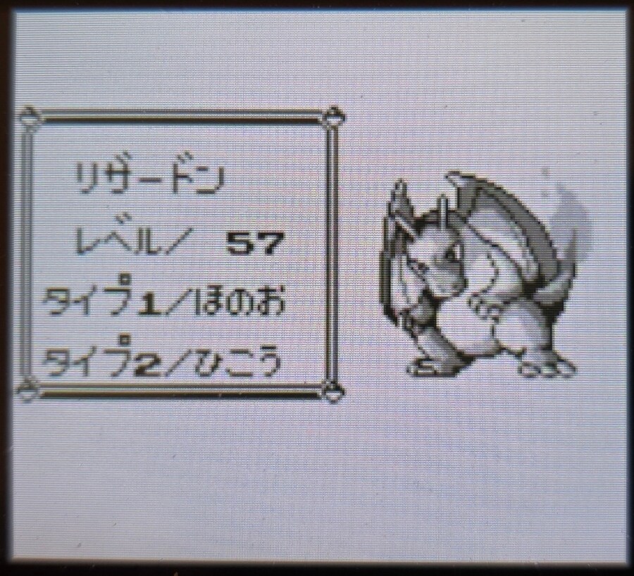 VC 포켓몬 블루 클리어 멤버_4.jpg