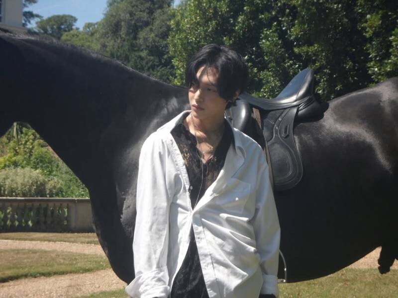 말이랑 사진 찍을때 조심해야할점_2.jpg