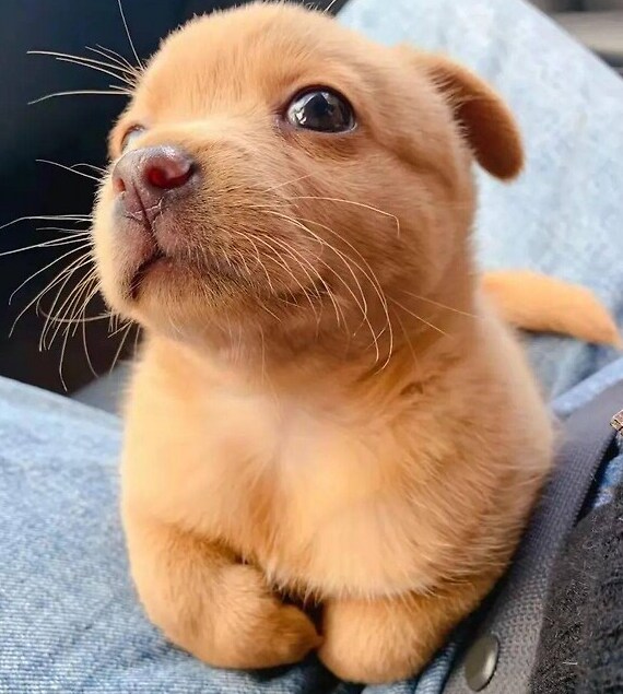 유게이들 진짜 40대야?_1.png