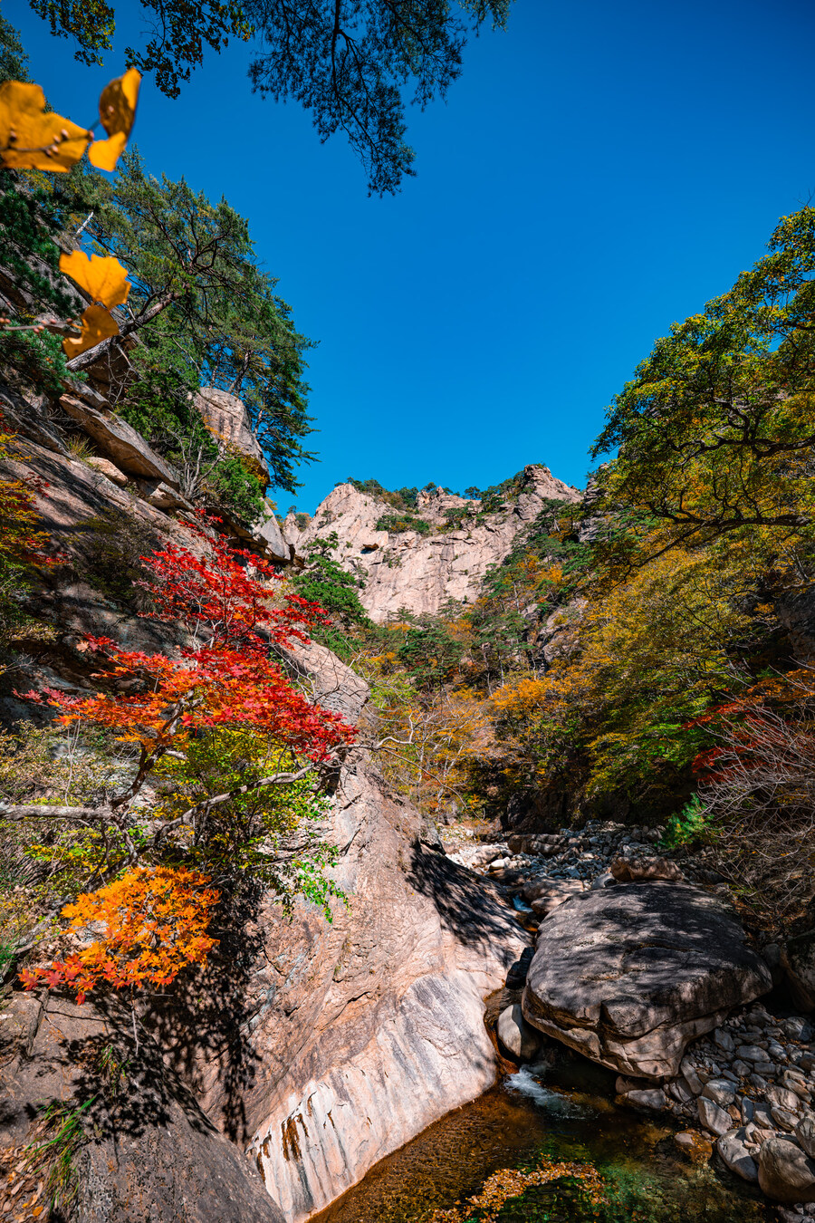 니들 빨리 결혼 안하면 큰일난다..._8.jpg